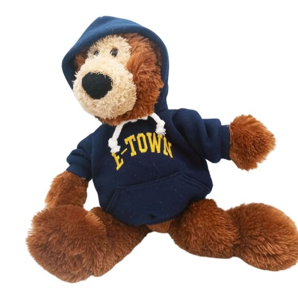 Brown Teddy Gund Everywhere Bear Plush 15382 Blue E-Town Hoodie 15" Animal - Picture 6 of 15